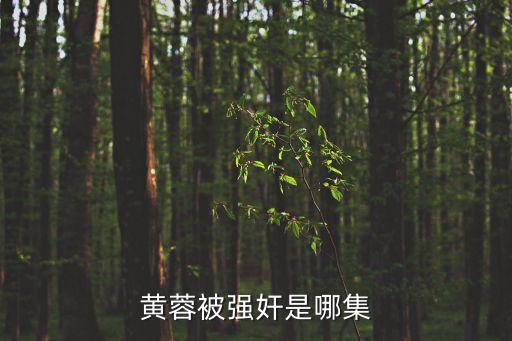 黃蓉被強(qiáng)奸是哪集