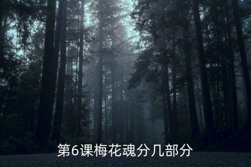 第6課梅花魂分幾部分