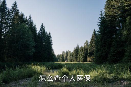 個(gè)人醫(yī)保查詢(xún)網(wǎng)上查詢(xún)，自己怎么在網(wǎng)上查醫(yī)保