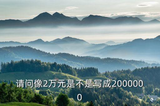請問像2萬元是不是寫成2000000