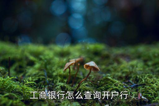 工行查詢開戶行，怎樣查工行開戶銀行