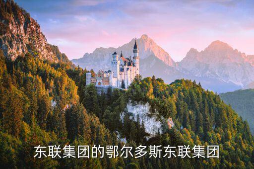 東聯(lián)集團，東聯(lián)集團在那里