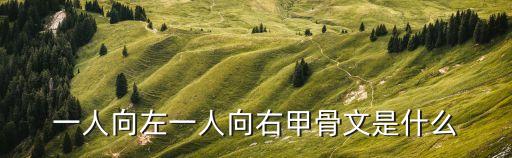 一人向左一人向右甲骨文是什么