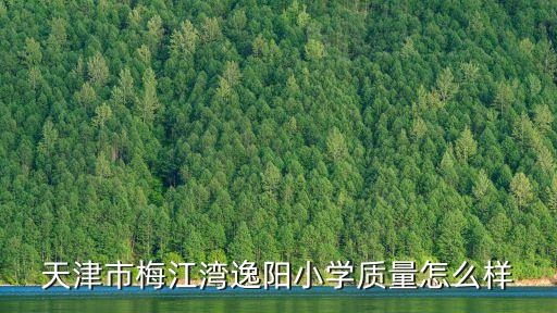 天津市梅江灣逸陽(yáng)小學(xué)質(zhì)量怎么樣