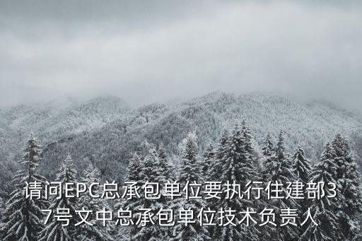 請問EPC總承包單位要執(zhí)行住建部37號文中總承包單位技術(shù)負(fù)責(zé)人