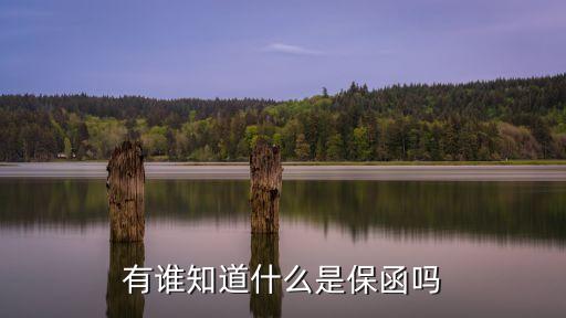 有誰知道什么是保函嗎