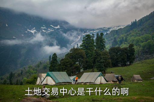 土地交易中心是干什么的啊