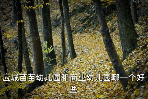 苗苗幼兒園，應(yīng)城苗苗幼兒園和商業(yè)幼兒園哪一個(gè)好些
