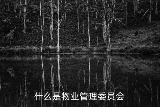 什么是物業(yè)管理委員會(huì)