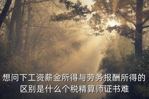 勞務(wù)報酬所得，工資薪金所得與勞務(wù)報酬所得的區(qū)別