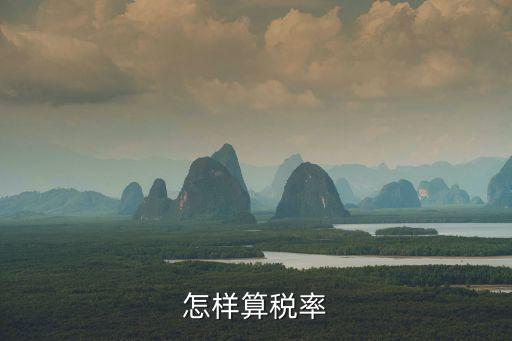 怎樣算稅率