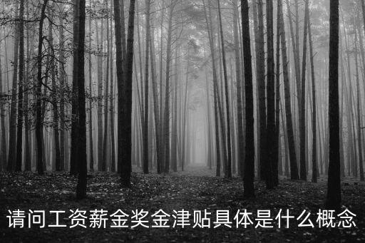 請問工資薪金獎金津貼具體是什么概念