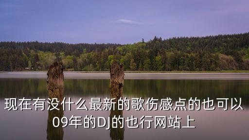 馮小飛，現在有沒什么最新的歌傷感點的也可以09年的DJ的也行網站上