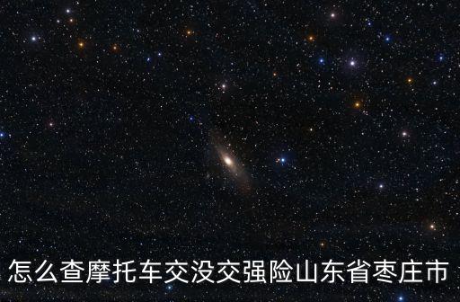 怎么查摩托車交沒交強險山東省棗莊市