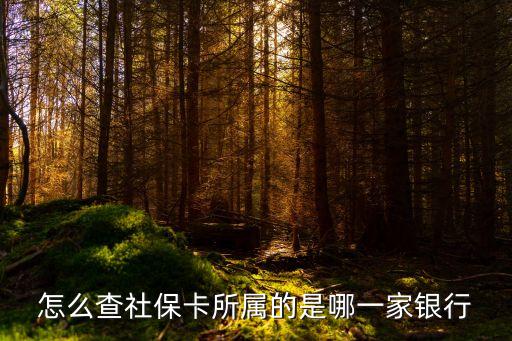 社?？ㄊ悄膫€(gè)銀行的，怎么查社?？ㄋ鶎俚氖悄囊患毅y行
