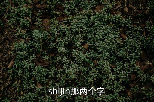 shijin，shijin那兩個字