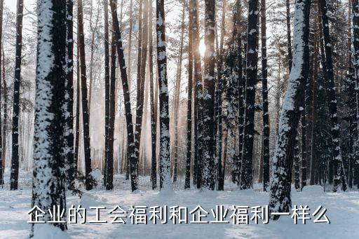 企業(yè)的工會福利和企業(yè)福利一樣么