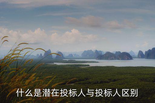 潛在投標人，什么是潛在投標人