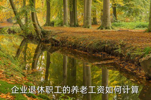 企業(yè)養(yǎng)老金，養(yǎng)老金是如何拿的