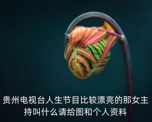 貴州電視臺(tái)人生節(jié)目比較漂亮的那女主持叫什么請(qǐng)給圖和個(gè)人資料