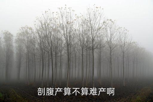 剖腹產(chǎn)算不算難產(chǎn)啊