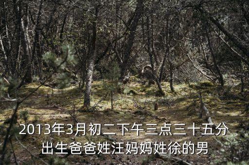 2013年3月初二下午三點三十五分出生爸爸姓汪媽媽姓徐的男
