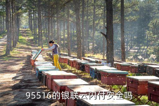 云閃付安全嗎，95516的銀聯(lián)云閃付安全嗎