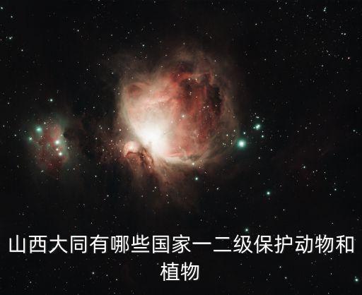 山西大同有哪些國家一二級保護動物和植物