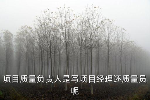 項(xiàng)目質(zhì)量負(fù)責(zé)人是寫(xiě)項(xiàng)目經(jīng)理還質(zhì)量員呢