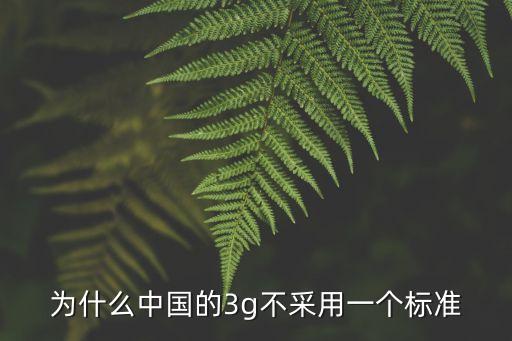 張昕竹，為什么中國的3g不采用一個標準