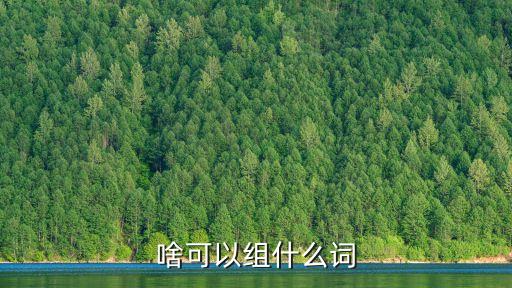 啥可以組什么詞