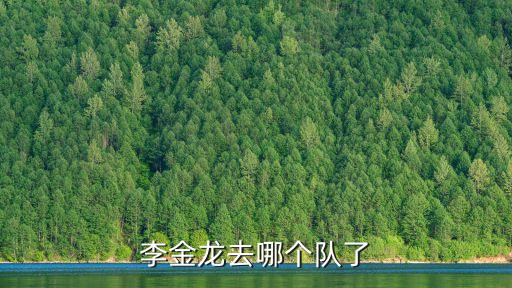 李金龍，李金龍創(chuàng)業(yè)成功的案例反映了怎樣的勞動教育理念