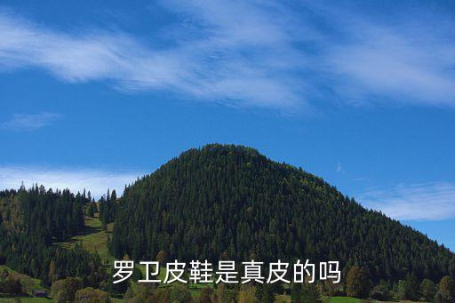 羅衛(wèi)，羅衛(wèi)皮鞋怎么樣