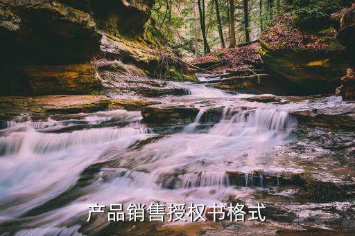 銷售授權(quán)書模板，銷售東西的委托書怎么寫
