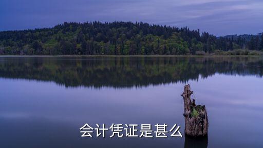 會(huì)計(jì)憑證是什么，會(huì)計(jì)憑證是甚么