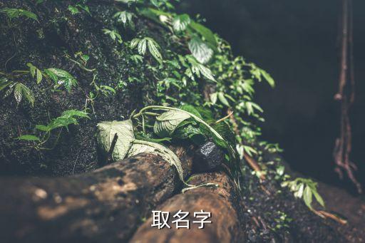 張萬(wàn)有，電視劇國(guó)家命脈發(fā)票是誰(shuí)偷的