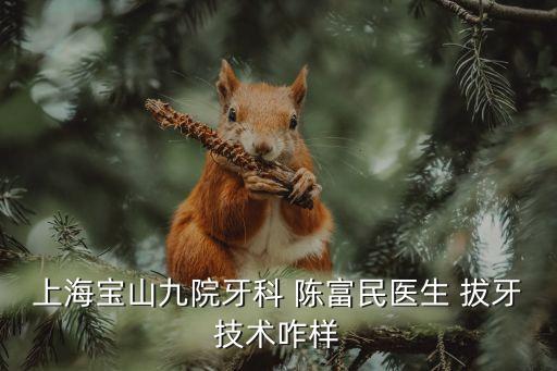 陳富民，2010927姓陳的男孩叫什么最好