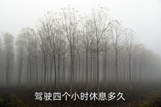 連續(xù)駕駛4小時休息多久，駕駛四個小時休息多久