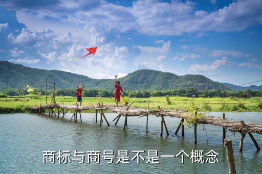 企業(yè)商號，上海大眾汽車有限公司中的商號是