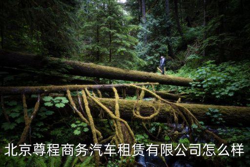 劉學(xué)松，荊州市白天鵝家具有限公司怎么樣