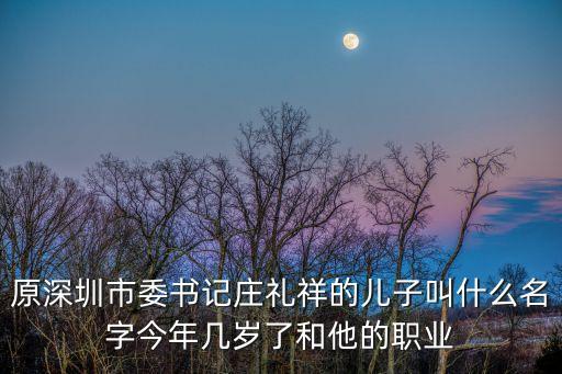 莊禮祥，原深圳市委書記莊禮祥的兒子叫什么名字今年幾歲了和他的職業(yè)