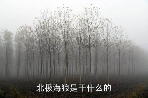 北極海狼，北極海狼是干什么的