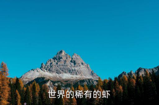 七彩蝦，你好我急需大班語言課件七彩蝦謝謝