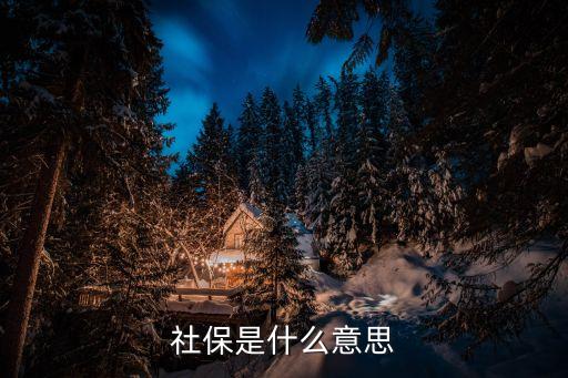 什么是社會保險，社會保險是什么