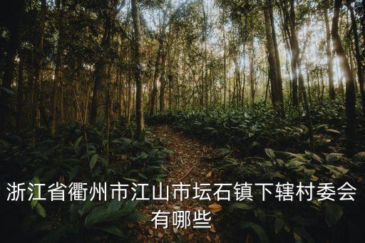 浙江省衢州市江山市壇石鎮(zhèn)下轄村委會有哪些