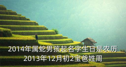 周新林，2014年屬蛇男孩起名字生日是農(nóng)歷2013年12月初2寶爸姓周