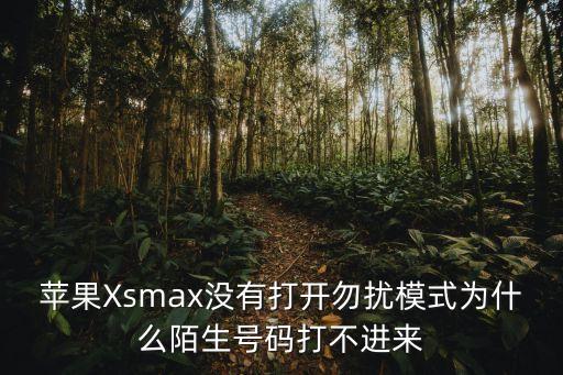 蘋果Xsmax沒有打開勿擾模式為什么陌生號碼打不進(jìn)來