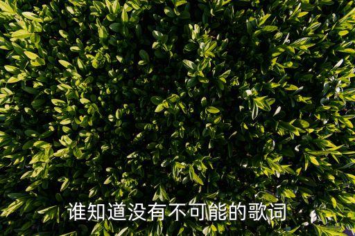 沒有不可能，誰知道沒有不可能的歌詞