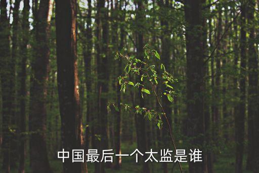 中國最后一個(gè)太監(jiān)是誰