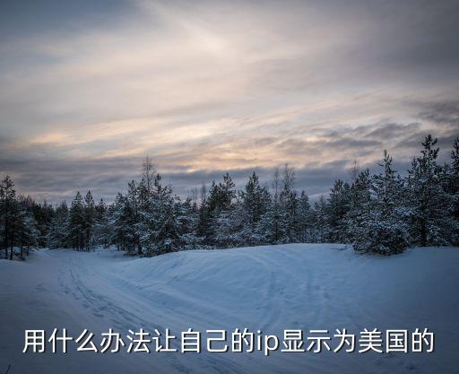 改國外ip，用什么辦法讓自己的ip顯示為美國的
